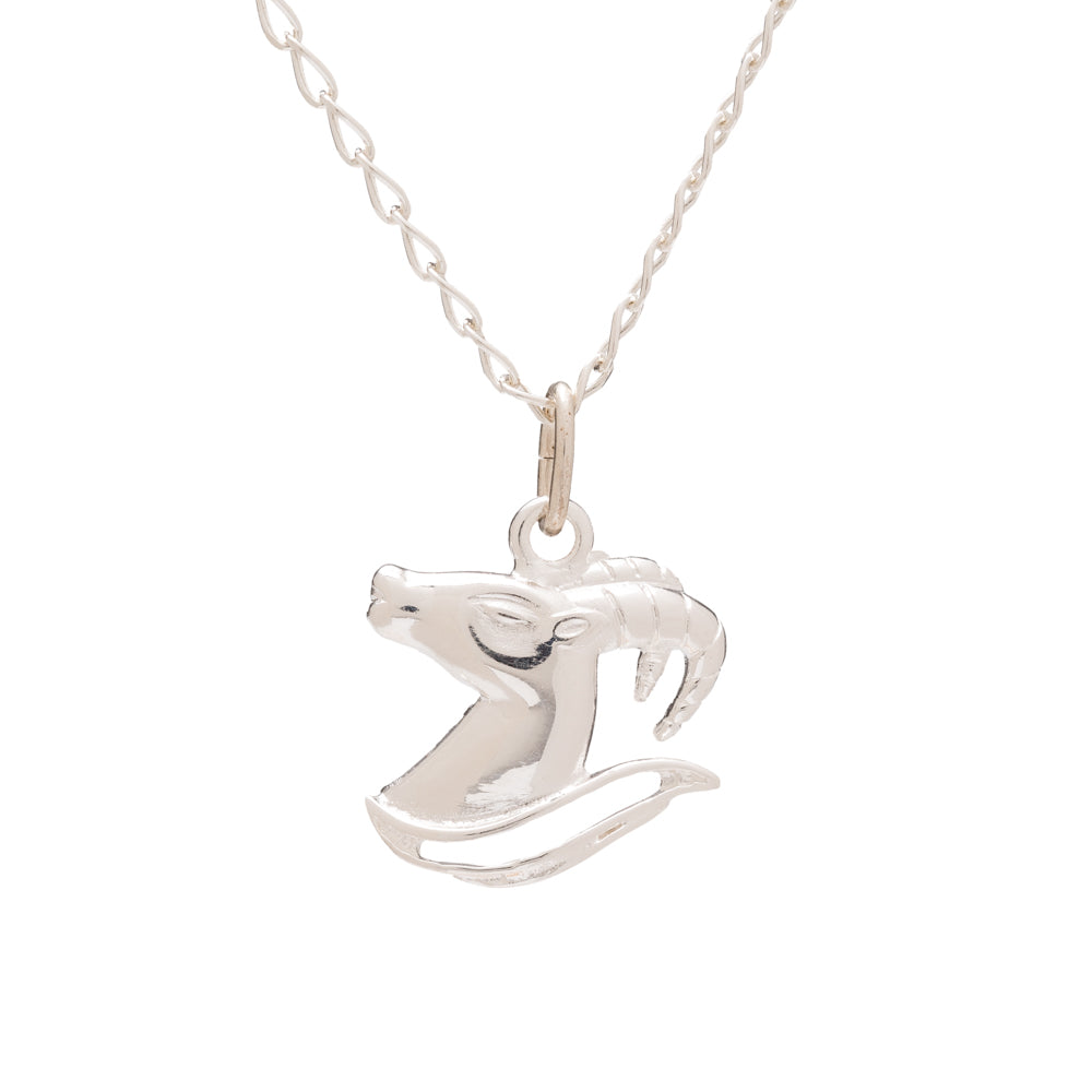 Collar de Plata de Ley con colgante del signo del zodiaco de aries