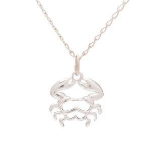 Collar de Plata de Ley con colgante del signo del zodiaco de cáncer