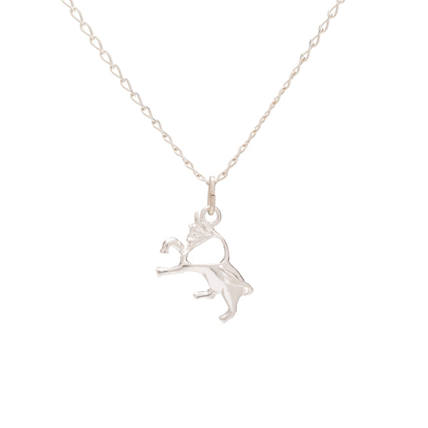 Collar de Plata de Ley con colgante del signo del zodiaco de tauro